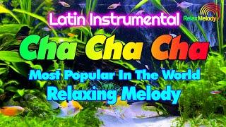 Latin Cha Cha Cha Most Popular In The World - Cha Cha Cha Relaxing Instrumental Music 2024