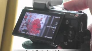 Sony Nex 5 Focus Peaking Indicator