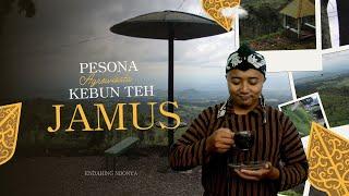 Rekomendasi Wisata Alam Kebun Teh Jamus Ngawi .. Ada Teh Rasa Kopi ..!!!