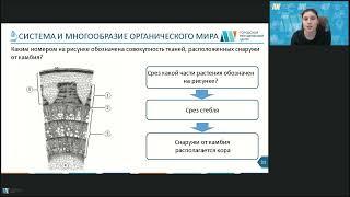 Вебинар по биологии "Система и многообразие органического мира. Организм человека и его здоровье"