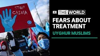 China under pressure over treatment of Uyghurs and other minorities | The World | ABC News