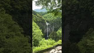 Wonder of nature ️ #freedom #travel #lifestyle #nature #waterfall