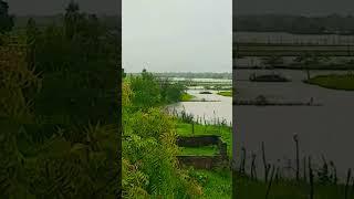 Barish ban jana song !! Barish ka mausam !! desi gaaw whatsapp status #barish #gaamaale #mausam #tr