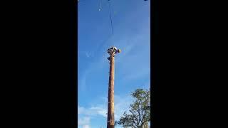 Leap of Faith at Empower Adventures Tampa Bay