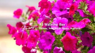 Yamaha Motor Journey – #3 Watsons Bay, Australia