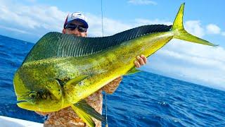 Giant Dolphin Caught using Berkley Gulp + MASSIVE Marlin