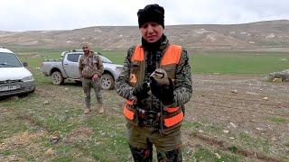 CANLI KEKLİK YAKALADIM.KEKLİK TAVŞAN AVI. PARTRIDGE HARE HUNTİNG CHASSE صيد الأرنب ОХОТА НА КРОЛИКА