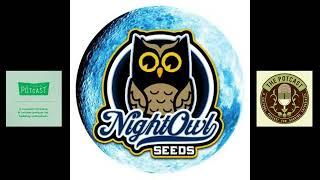 Episode 99 ft Daz of Night Owl Seeds - The Pot Cast - 15/10/24