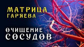 Матрица Гаряева Мощная Очистка Сосудов Всего Тела ️ Квантовое исцеление звуком