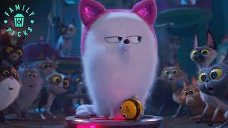 Gidget Saves Busy Bee and Max Saves Cotton | The Secret Life of Pets 2