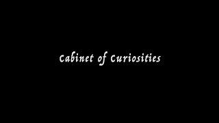 Cabinet of Curiosities