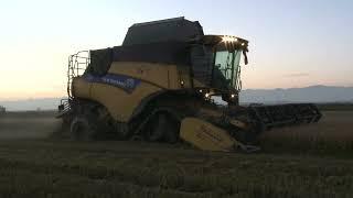 New Holland CR 7.90 e Cressoni raccolta riso 2024 Vercelli