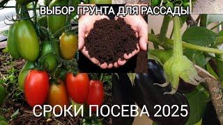 Сроки посева на рассаду 2025! Лучший грунт для здоровья растюшек!