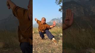 SHAOLIN MARTIAL ARTS MOVES || KICKBOXING KUNGFU TRAINING #shaolin #kungfu