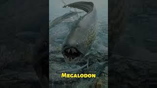 Top 5 Biggest Prehistoric Fish #shark #comparisonlist