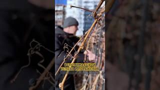 Вспоминая свои успехи и поражения