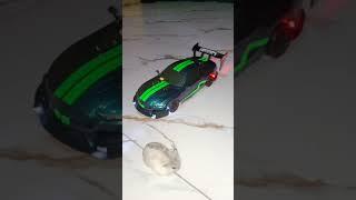 #hamsters #sportcar #rccar