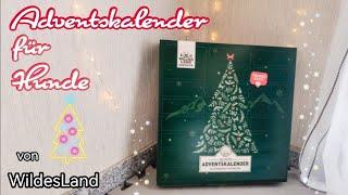 Wildes Land Adventskalender 2022 // unboxing