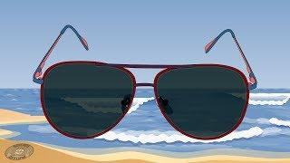 How Do Polarized Sunglasses Work?!