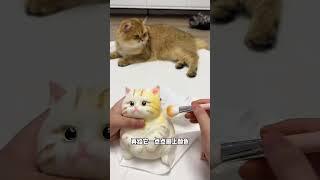 【牛奶是只猫】给我家猫咪做的猫咪捏捏！大家觉得那个配色好看呢？