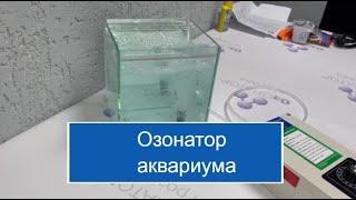 Озонатор для аквариума. Проверяем на рыбках!