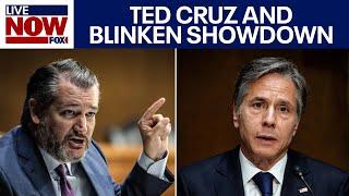 Ted Cruz grills Blinken over Israel War, Hamas funding, Iran President dead | LiveNOW from FOX