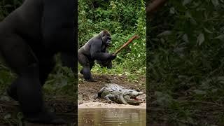 Gorilla SMASHES Crocodile