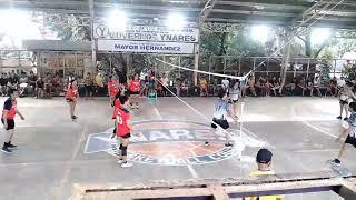 Mixed Volleyball