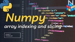 NumPy Array Indexing & Slicing 