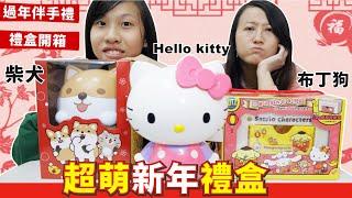 超萌 新年禮盒開箱 贏的人吃 輸的人懲罰 [蕾蕾TV - Lei Lei TV] hello kitty 柴犬 布丁狗主題/超商過年禮盒開箱