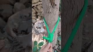 Idea To Tie Knot Easy but Strong #ropetutorial #ropework #knotlearning #diyrope