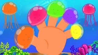 Медузы палец Семейство | дошкольная песня | Children Poems | Jelly Bears | Jelly Fish Finger Family