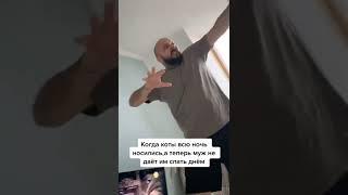 Не даю спать котам / куда ползёшь #весёлаяутка