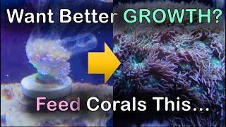 A coral food recipe with feeding tips and tricks for boosting GROWTH and COLORATION!