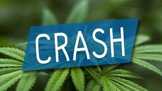 Crash bei Cannabis-Aktien! Nur diese Aktie steigt...