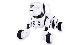  Рободог или собака-робот DIMEI 9007A с пультом. Robodog DIMEI 9007A with control panel