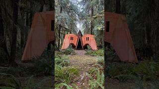 Framing the tentacle cabin #diy #handmade