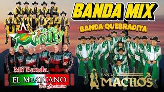 QUEBRADITA MIX 90s (Banda Machos, El Mexicano y Maguey)