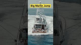 Giant Blue Marlin Fish Jumping While Fishing in the Bahamas - #fishing #fishingvideo #fish