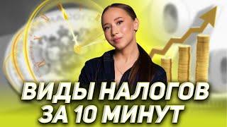 Виды налогов за 10 минут