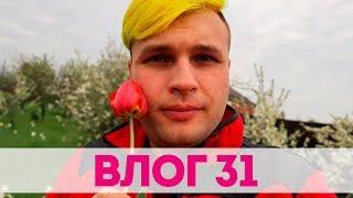 ВЛОГ 31. УТРЕННЯЯ ПРОГУЛКА ПОСЛЕ ДОЖДЯ ,ПЕРВЫЕ ТЮЛЬПАНЫ И НАРЦИССЫ.