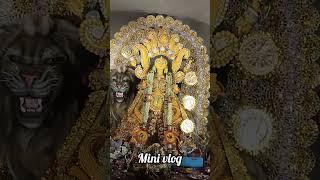 Jagatdharthi pujo mini vlog ️ #hindufestival#couplegoals#highligts#anivlog