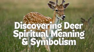 Deer Spiritual Meaning | A Symbolism Spirit Animal