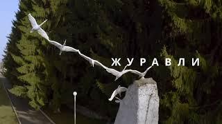 Академия Футбола "Алания"
