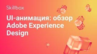 Обзор Adobe Experience Design