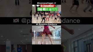 라인댄스 네덜란드vs한국 닥터댄스플로어 #dance #linedance #라인댄스