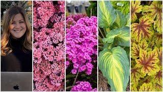 New Perennials for 2024!  // Garden Answer