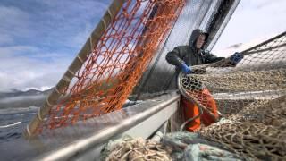 Environmental Defense Fund - Overview