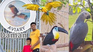 Daman Bird Aviary Park | Near Daman Jampore Beach | Amdavadi Ajju at Daman Zoo