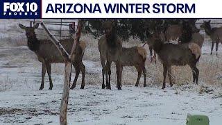 Storm brings snow to parts of Arizona high country | FOX 10 Phoenix